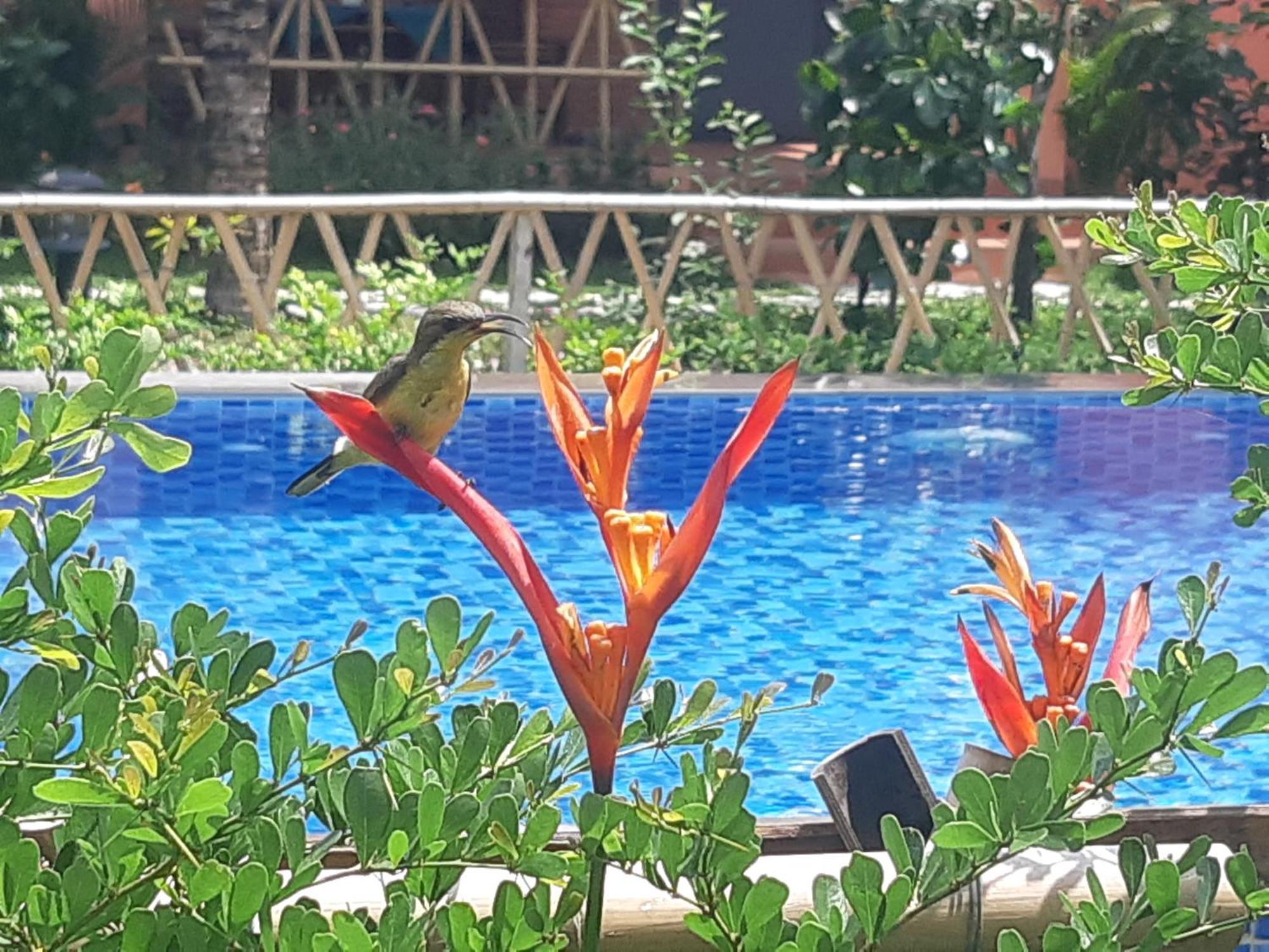Anan Boutique Bungalows With Private Kitchen Phu Quoc Esterno foto
