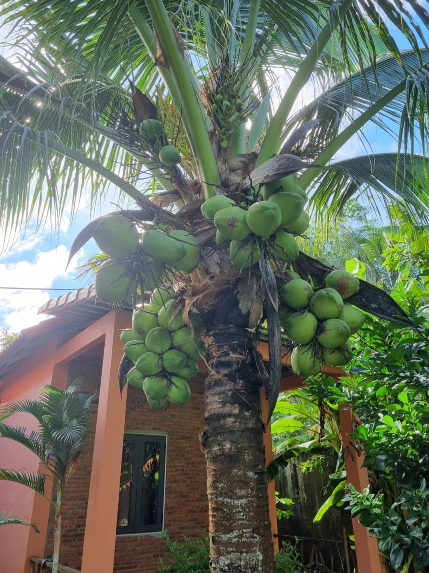 Anan Boutique Bungalows With Private Kitchen Phu Quoc Esterno foto