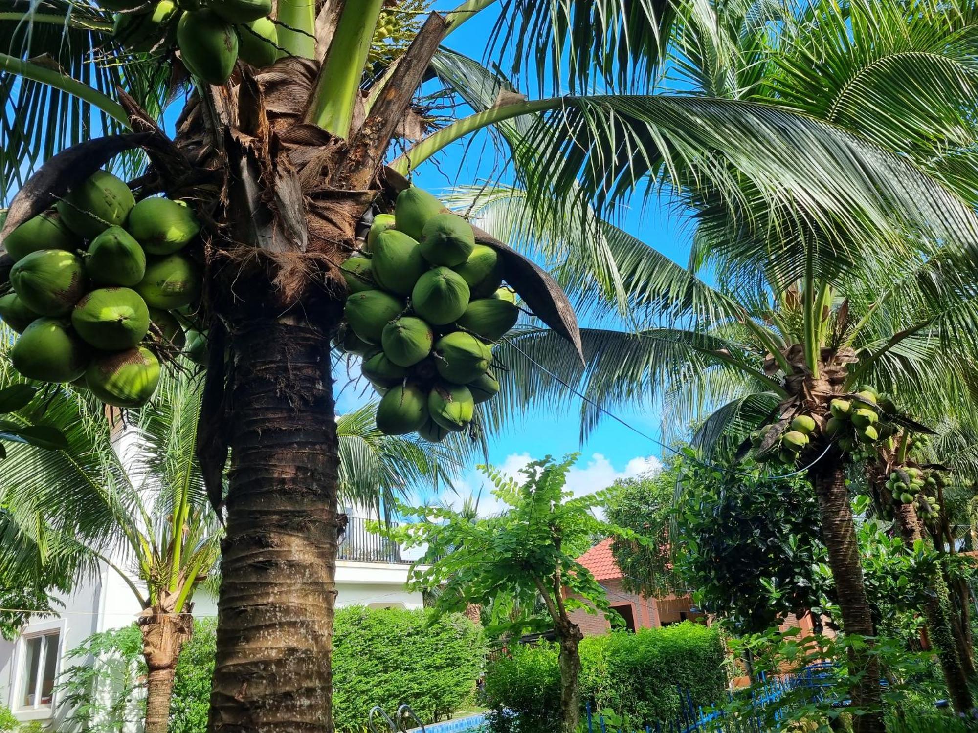 Anan Boutique Bungalows With Private Kitchen Phu Quoc Esterno foto